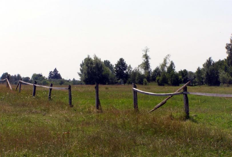 Даничів з panoramio.com - Даничів