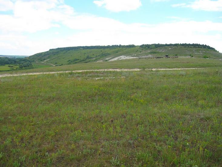 Городище з panoramio.com - Городище