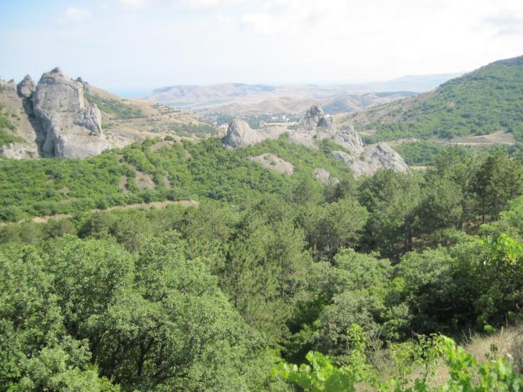 Лісне з panoramio.com - Лісне