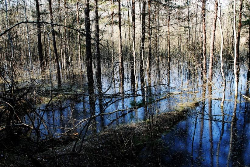 Дзержинське з panoramio.com - Дзержинское