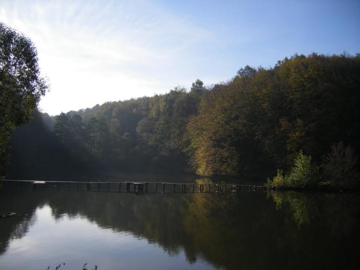 Піщатинці з panoramio.com - Піщатинці