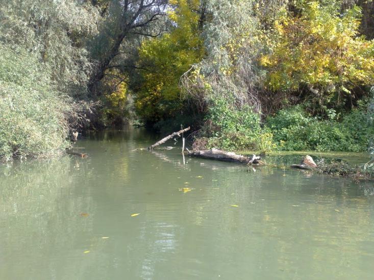 Дунайське з panoramio.com (ч.2) - Дунайське