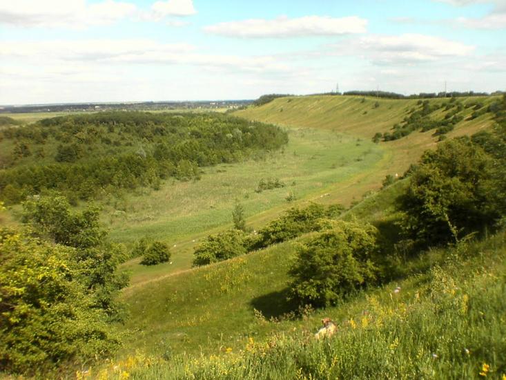 Антонівка з panoramio.com - Антоновка