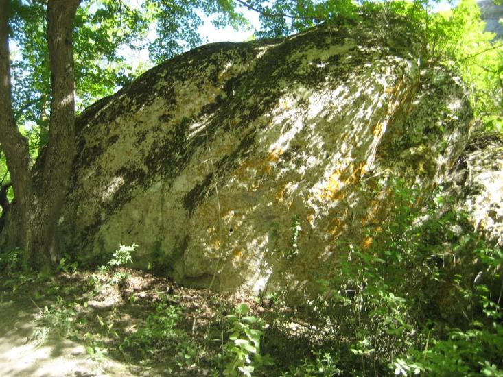 Поляна з panoramio.com - Поляна