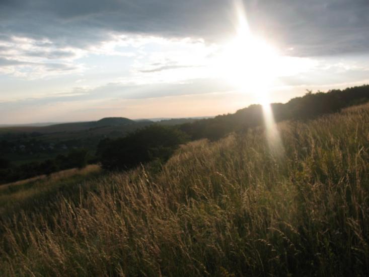 Пуків з panoramio.com - Пуків