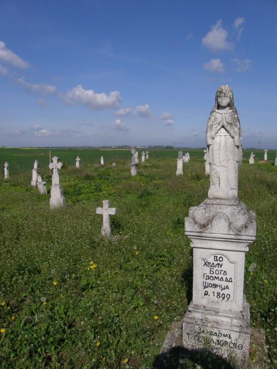 Стаївка з panoramio.com - Стаївка