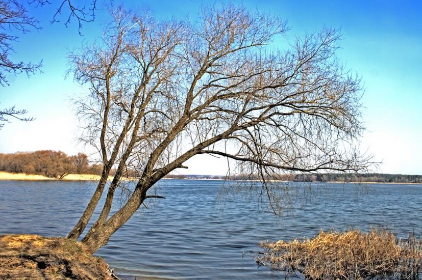 Хотімля з panoramio.com - Khotimlya