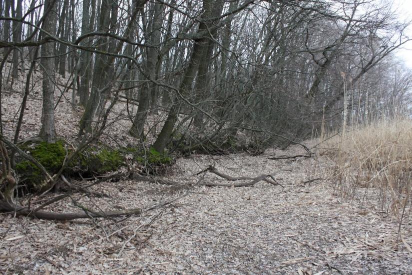 Лящівка з panoramio.com - Lyaschivka
