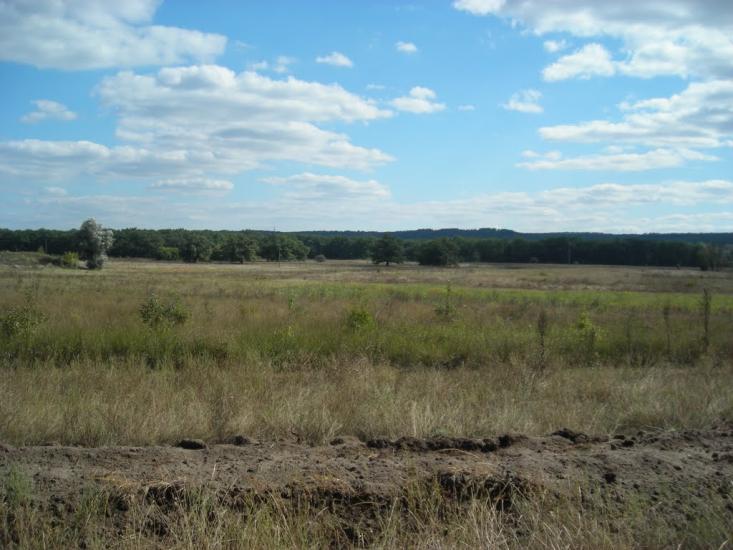 Букине з panoramio.com - Bukyne
