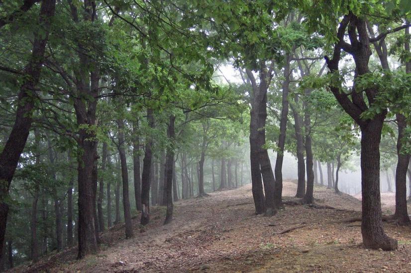 Велика Копаня з panoramio.com - Великая Копаня
