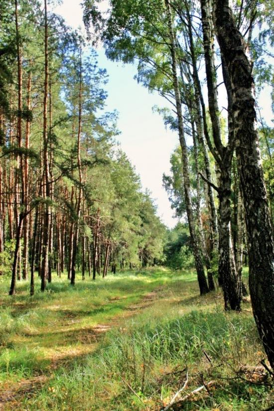 Бурімка з panoramio.com - Burimka