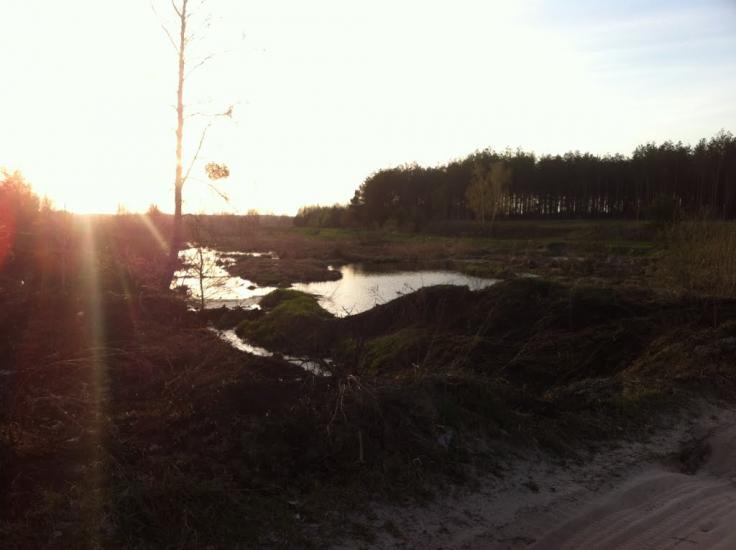 Мироцьке з panoramio.com - Myrotske