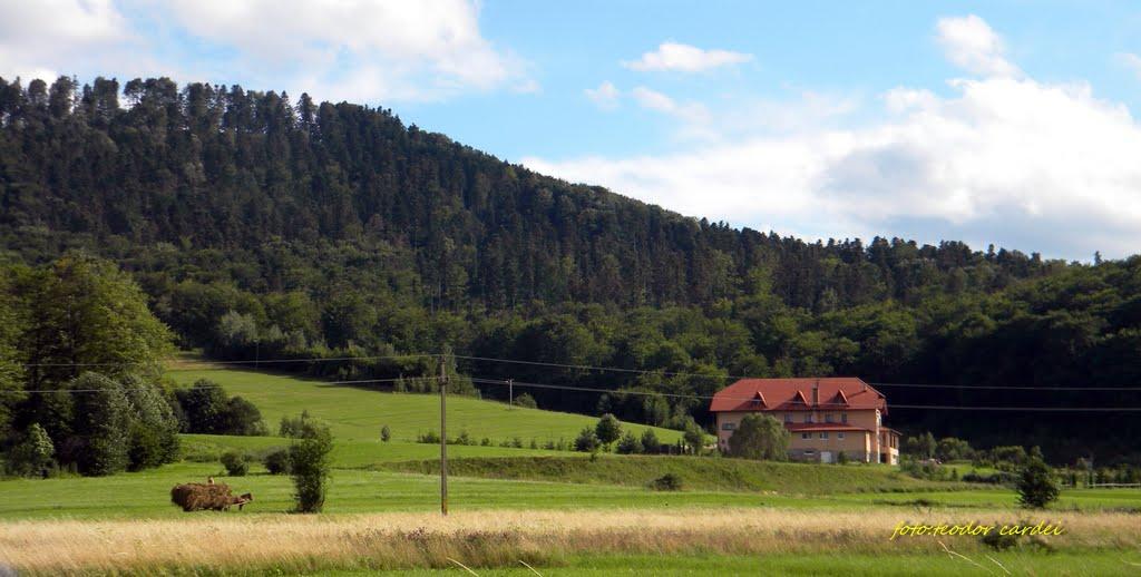 Аршиця з panoramio.com - Arshytsya