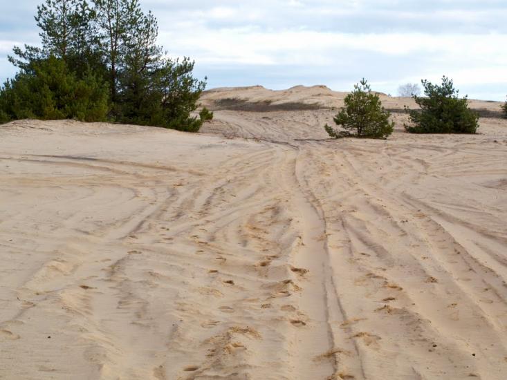 Кицівка з panoramio.com - Kytsivka