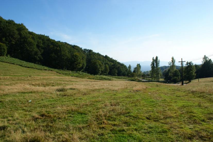 Яблунівка з panoramio.com - Яблоновка