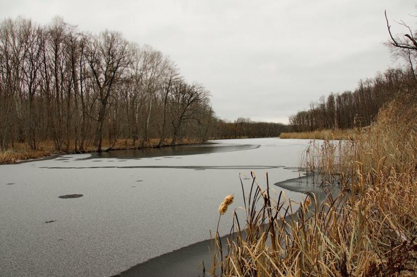 Серебрянка з panoramio.com - Серебрянка