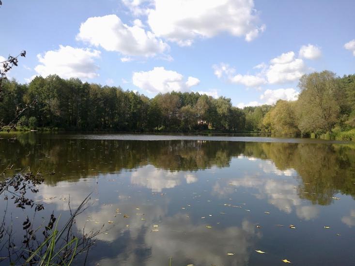 Блиставиця з panoramio.com - Блиставиця