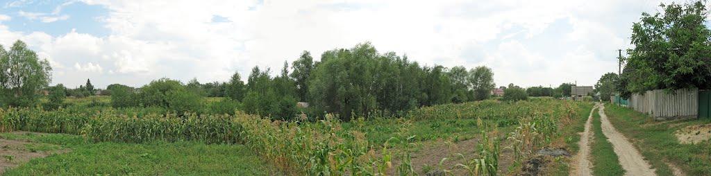 Демидів з panoramio.com - Демидов