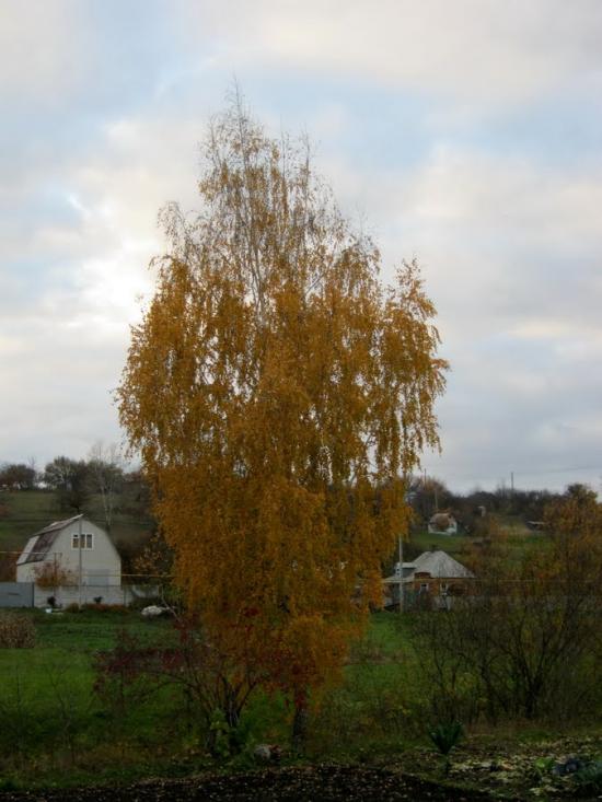 Загірське з panoramio.com - Загірське