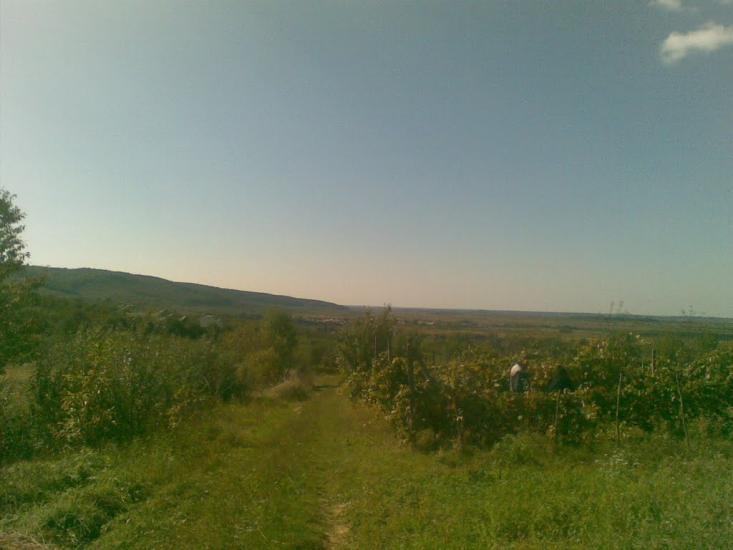 Холмовець з panoramio.com - Холмовец