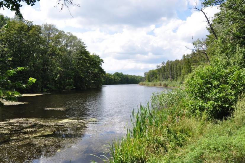 Серебрянка з panoramio.com - Серебрянка