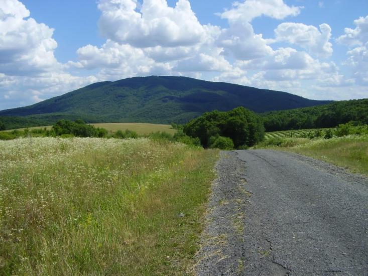 Букове з panoramio.com - Букове