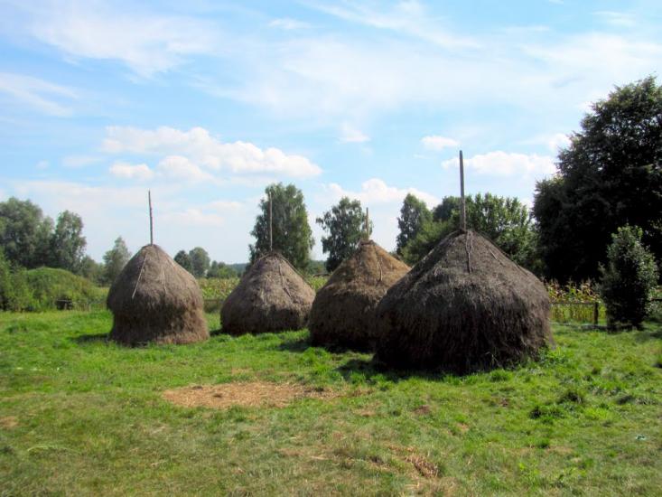 Луко з panoramio.com - Луко