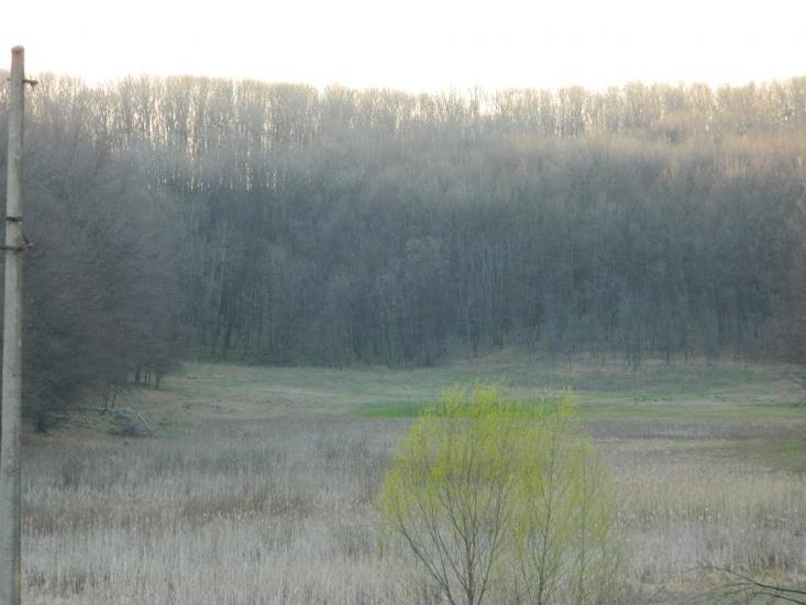 Високий з panoramio.com - Высокий