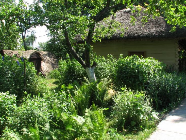 Сосниця з panoramio.com - Сосниця