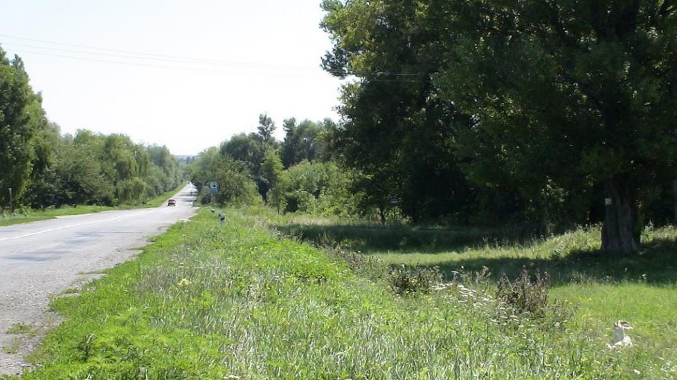 Нагірне з panoramio.com - Nagirne