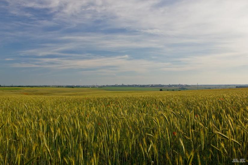 Кустин з panoramio.com - Кустин