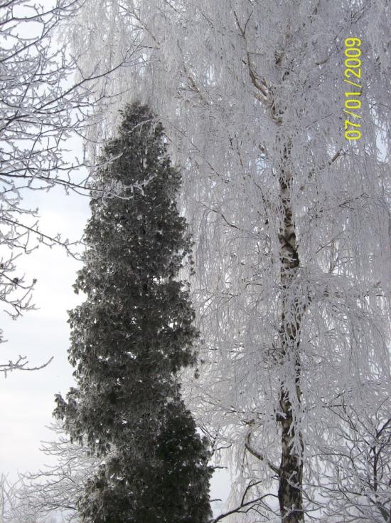 Стрілковичі з panoramio.com - Стрелковичи