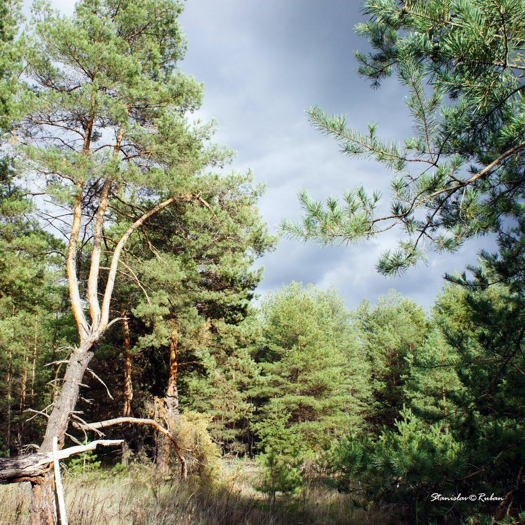 Зачепилівка з panoramio.com - Зачепиловка