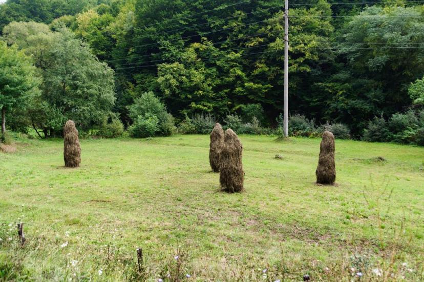 Костринська Розтока з panoramio.com - Костринська Розтока