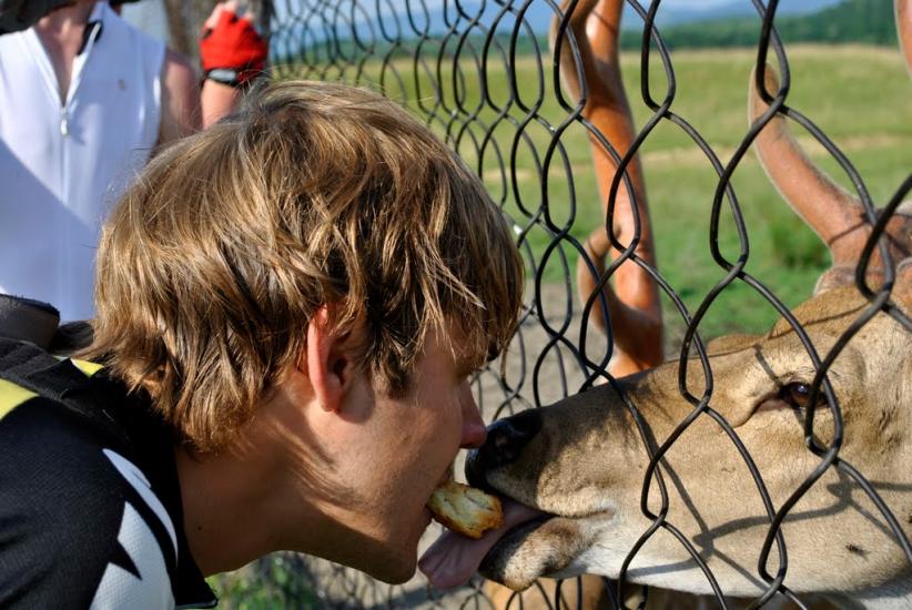 Кошельово з panoramio.com - Кошельово