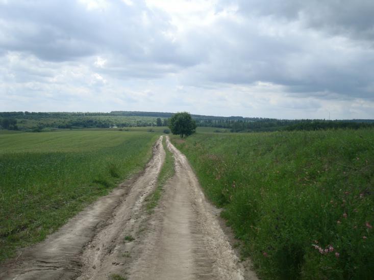 Стуфчинці з panoramio.com - Стуфчинцы
