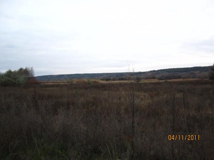 Бахмутівка з panoramio.com - Бахмутівка