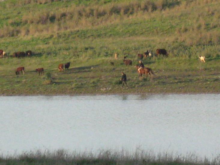 Вигода з panoramio.com - Вигода