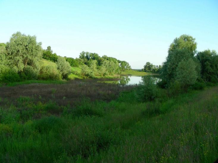 Мерефа з panoramio.com - Мерефа