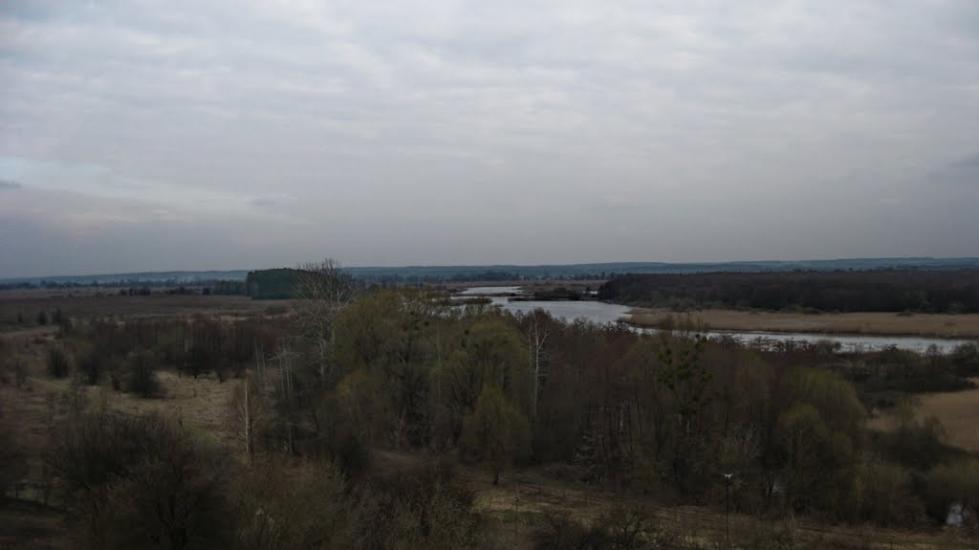 Лиски з panoramio.com - Лыски