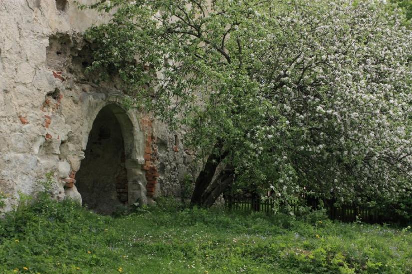 Залізці з panoramio.com - Залізці