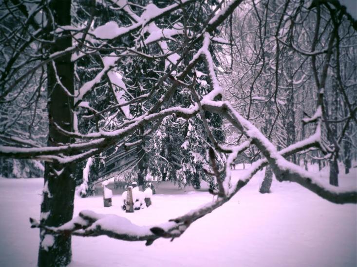 Хмільник з panoramio.com - Хмельник