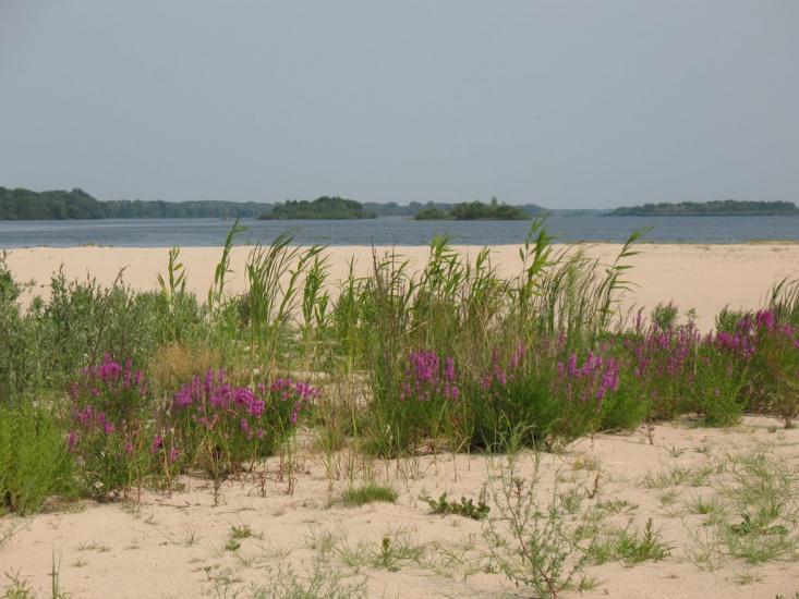 Хрещатик з panoramio.com - Крещатик