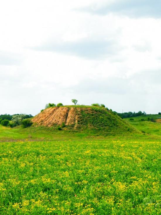 Біле з panoramio.com - Біле