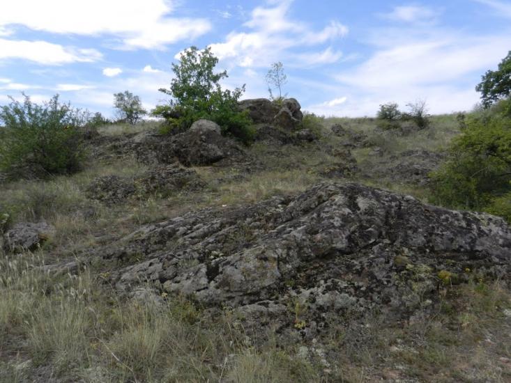 Куріпчине з panoramio.com - Kuripchyne