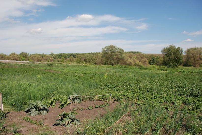 Пильна з panoramio.com - Пыльная