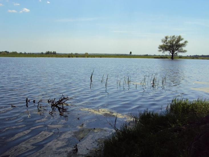 Карпилівка з panoramio.com - Карпилівка