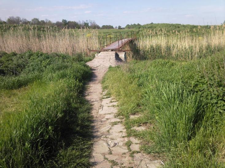 Дмитрівка з panoramio.com - Дмитрівка