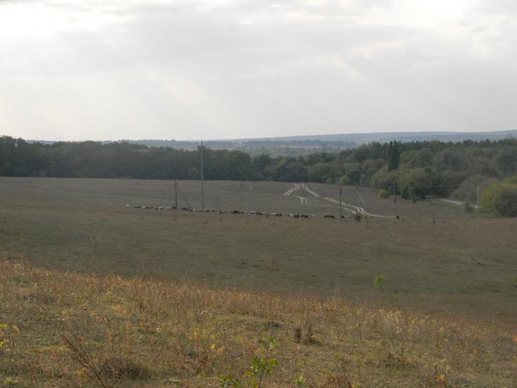 Івангород з panoramio.com - Ивангород