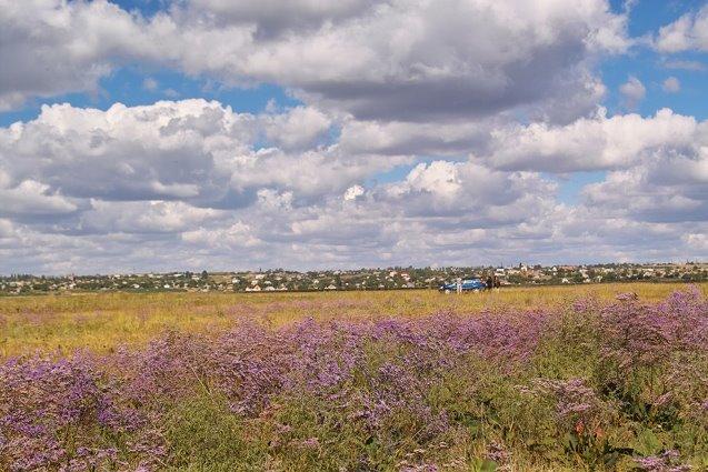 Ялта з panoramio.com - Ялта